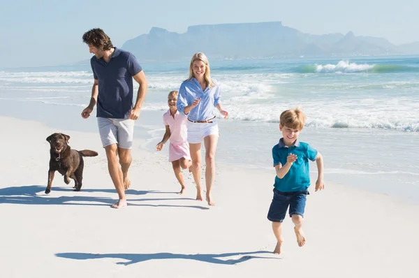 Family running with dog at sea