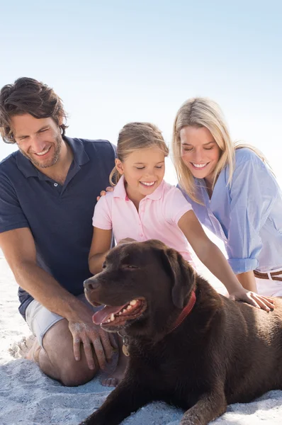 Família brincando com cachorro na praia — Fotografia de Stock