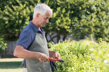Bahçıvan budama çit