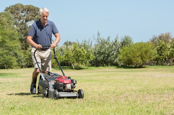 Senior gardener mowing Stock Picture