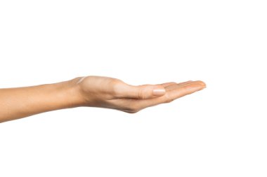 Güzel bir kadının beyaz arka planda el ele izole edilmiş görüntüsü bir şey gösteriyor. Boş bir kadın ve beyaz arka planda nazik bir el. Avuç içi yukarıda güzel bir kadın eli yakın..