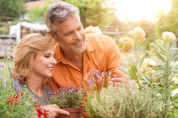 Šťastný starší pár zahradnictví — Stock fotografie