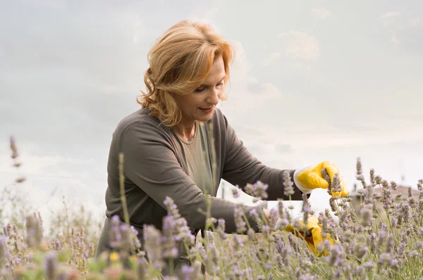 Jardinería mujer madura — Foto de Stock