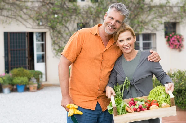 Pareja madura con verduras orgánicas — Foto de Stock