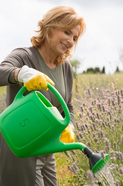 Mujer feliz regar plantas — Foto de Stock