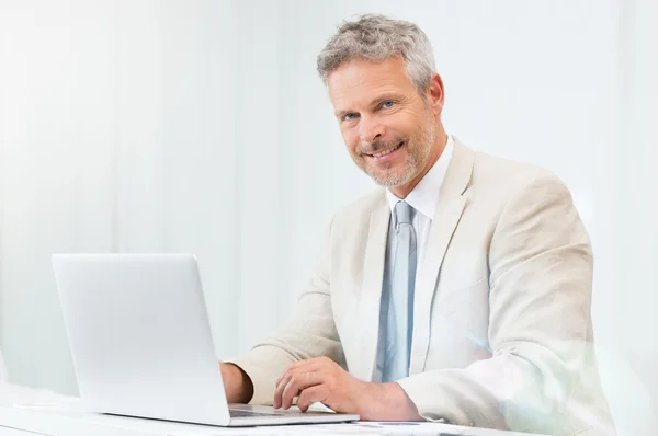 Happy Businessman At Laptop Stock Image
