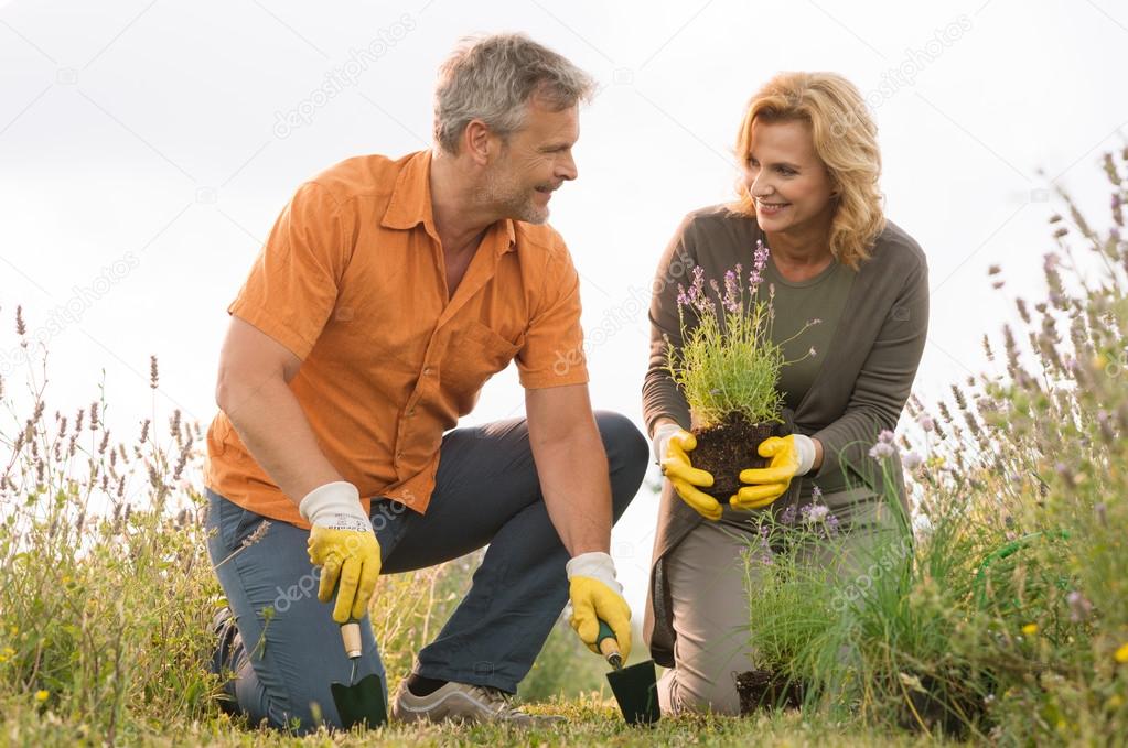 Mature Couple Gardening