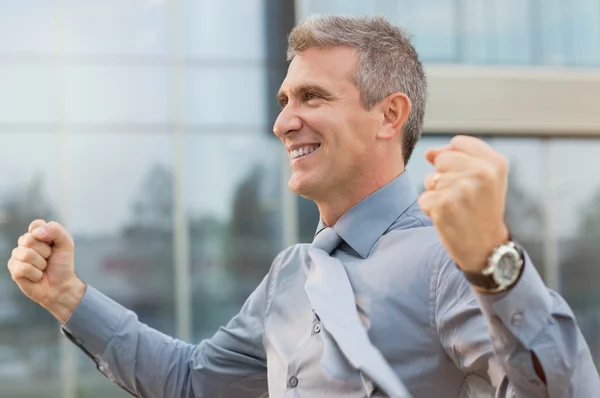 Uomo d'affari successo — Foto Stock