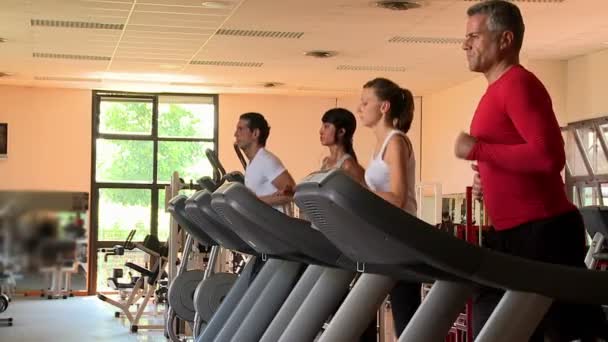 Personnes faisant de l'exercice au gymnase — Video