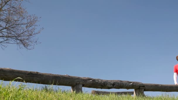 Woman walking on a wooden fence with boyfriend — Stock Video