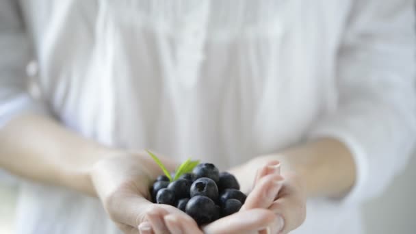 Woman holding fresh blueberries — Stock Video