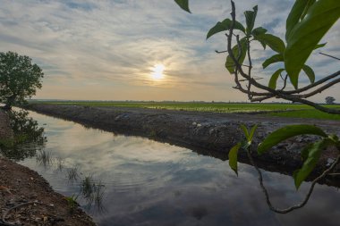 Baharda çeltik tarlasında gün doğumu. Pirinç bitkileri hala çok küçük. Cennet su tedarik kanalına yansıyor. Tarım alanları boyunca telefon hattı direkleri var. Mavi gökyüzünde beyaz bulutlar