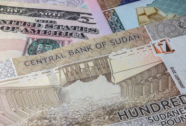 Sudan Cumhuriyeti 'nin 100 pounduna yakın bir miktarı Amerikan doları banknotlarının yanında. Afrika ülkesi Sudan 'ın 100 poundluk banknotları. Sudan banknotlu ABD parası. Dünya para birimi. Yüz Pound.