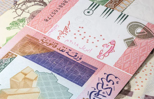 Близько Фунтів Стерлінгів Суданської Республіки Паперові Банкноти Африканської Суданської Країни — стокове фото