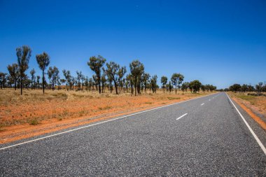 Stuart Highway at Australia. The road to nowhere at the Australian Outback. The stuart highway on the way to the Uluru or Ayers Rock. Empty street through the wide open flat australian outback. Wide angle shot over the  landscape clipart
