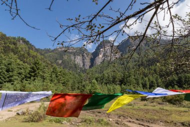 Bhutan, Himalaya 'daki kaplan yuvasına giden yürüyüş yolunda rüzgarda sallanan Budizm Duası bayrakları. Bhutan dağlarının ardında mavi gökyüzü.