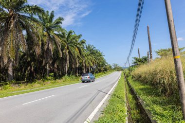 Hulu Langat Bölgesi, Selangor, Malezya - 29 Aralık 2020: Tek bir araba boş orman yolunda ilerliyor. Yol boyunca elektrik hatları eşlik edecek. Mavi gökyüzünde birkaç küçük bulut