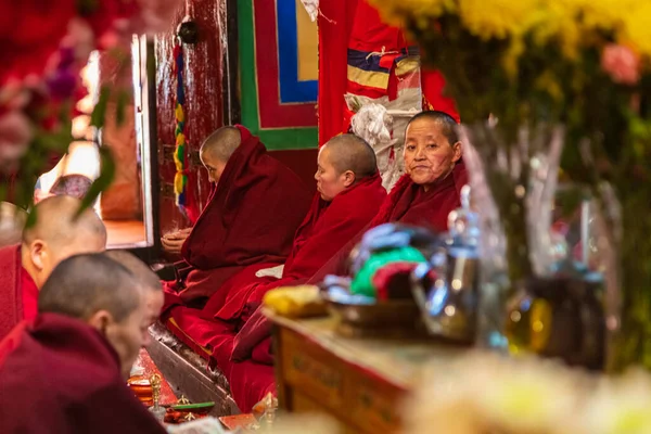 Lhasa, Çin - 23 Ekim 2020 - Bir manastırın içinde geleneksel kırmızı bornozlu dişi keşiş veya bhikkhunis. Bir Budist rahibe ya da dişi manastır bir Tibet 'te dini bir evde namaz kılarken. Budizm kadını