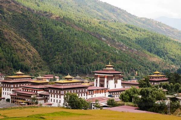 Punakha Dzong Eller Pungtang Dechen Photrang Dzong Mellan Floden Pho — Stockfoto