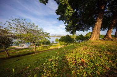 Putrajaya, Malezya 'daki İngiliz bahçesi, güneşin doğuşu için. Sabah güneşinde yaşlı bir ağacın etrafındaki altın çimenler. Arka planda Putrajaya Gölü ve Putrajaya 'nın ufuk çizgisi. Gerçekten Asya. 