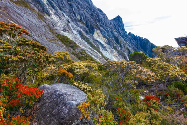 Szczycie Góry Kinabalu Sabah Borneo Malezja Kinabalu Jest 4095 Metrów — Zdjęcie stockowe