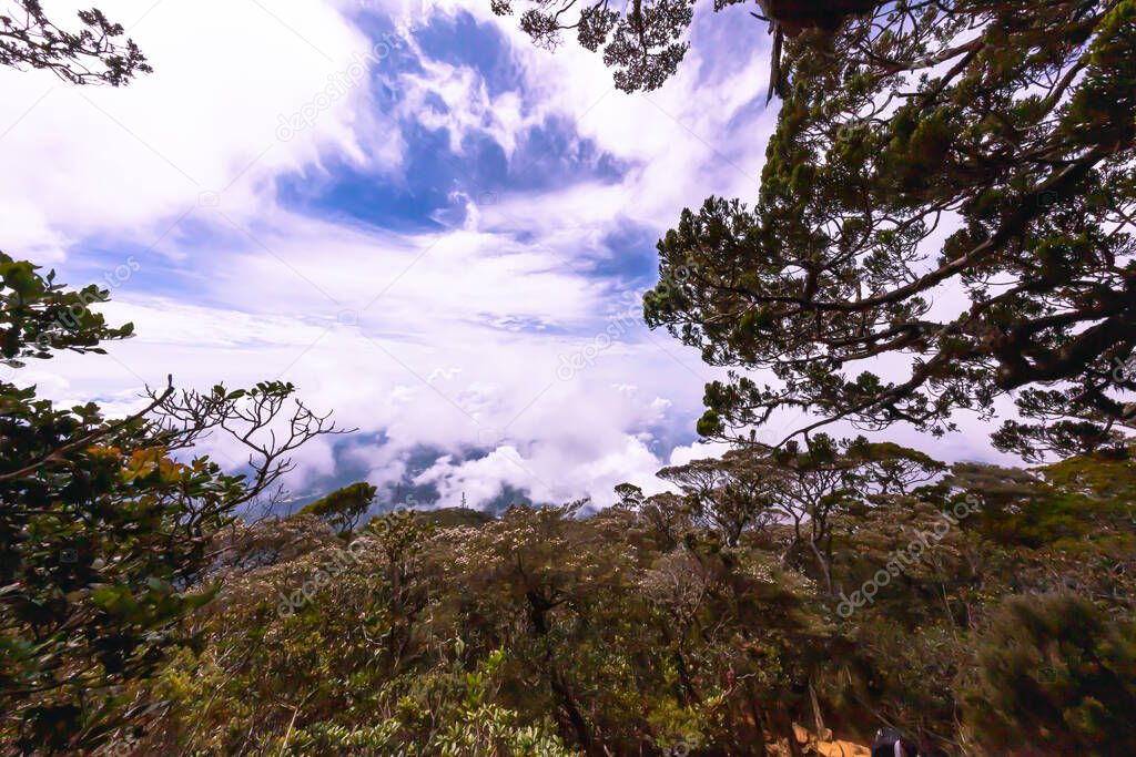 Climbing Mount Kinabalu, Sabah, Borneo, Malaysia. The highest mountain in south east Asia, near the city of Kota Kinabalu. From jungle at the foot of the mountain, to the barren vegetation at the peak. Footpath to the top of the mountain