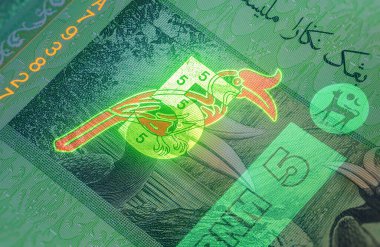 5 Malezya halkasının florlu fotoğrafçılığı. RM5 Malezya 'nın aşırı yakın çekimi. Banknotta Gergedan Hornbill kuşunun keskin bir şekilde ele geçirilmesi. Görünmez floresan görüntü görünür olur