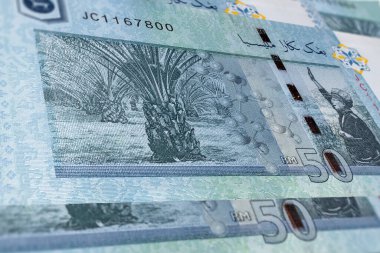 50 Ringgit Malezya 'nın ters tarafına yaklaş. Seri numarası olan yepyeni RM 50 'nin ayrıntılı makro görüntüsü. Palmiye ekimi motifli Malezya parasının arkasından makro fotoğrafçılık 