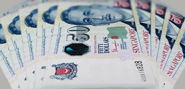Yaklaşık 50 Singapur doları. Singapur Şehri 'nin para birimi. Bir sürü Singapur Doları. Kağıt para. Notun önünde Başkan Encik Yusof bin Ishak 'ın portresi var.