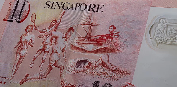 Omvänd Sida Singapore Dollar Valuta För Delstaten Singapore Närbild Tio — Stockfoto