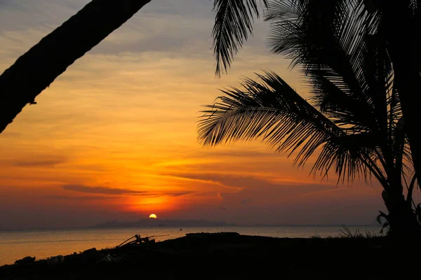 サムイ島の美しいタイの島での夕日 タイのコサムイ島のヤシの木の間の夕日 楽園の近くの赤とオレンジのビーチ — ストック写真