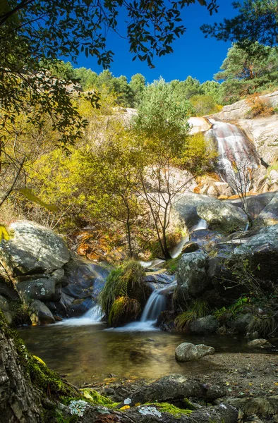 Autumn Landscape River Waterfall Colorful Autumn — Stock Photo, Image