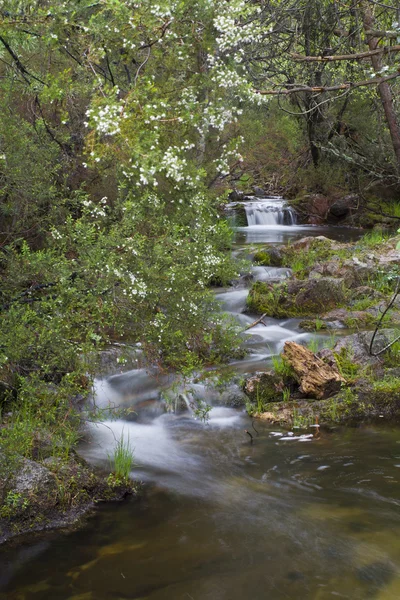 Arroyo de la Ventana, La Pedriza, Madrid — Stock Photo, Image