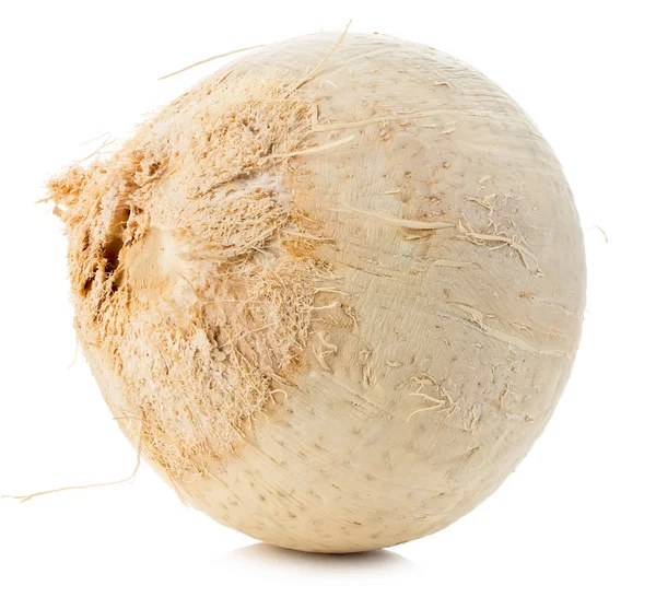 Young sweet coconut close-up isolated on white background. — Stock Photo, Image