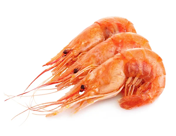 Tiger shrimps isolated on a white background. Seafood. — Stock Photo, Image