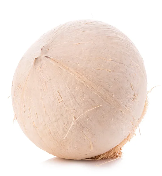 Jeune noix de coco douce en gros plan isolé sur fond blanc. — Photo