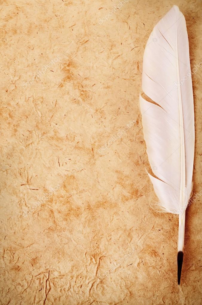 Background Paper Tongue And Quill White quill pen close-up on vintage old paper background. Retro stale