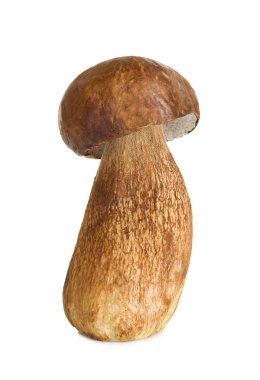çörek, beyaz zemin üzerine izole cep mantar