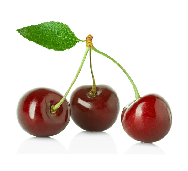 Cereza dulce con la hoja aislada sobre un fondo blanco . — Foto de Stock