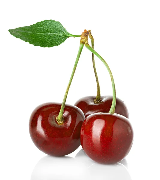 Cereza dulce con la hoja aislada sobre un fondo blanco . — Foto de Stock