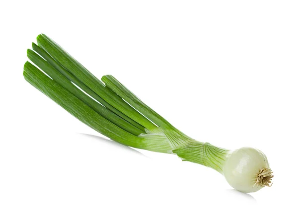 Cipolla verde isolata su fondo bianco — Foto Stock