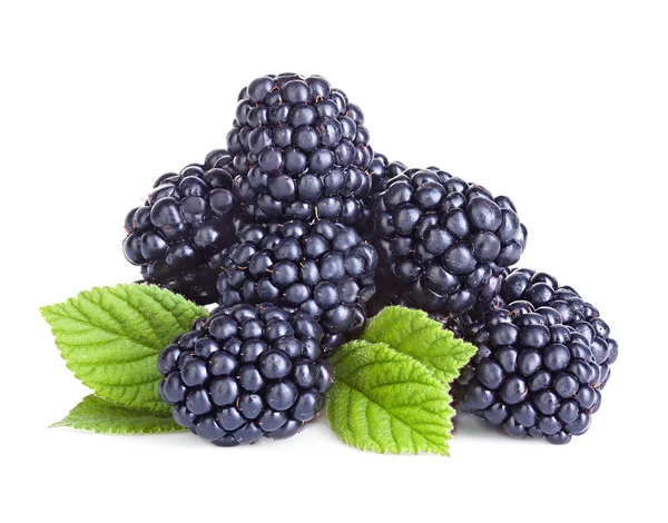 Blackberries isolated on white background. — Stock Photo, Image