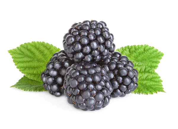 Blackberries isolated on white background. Stock Photo