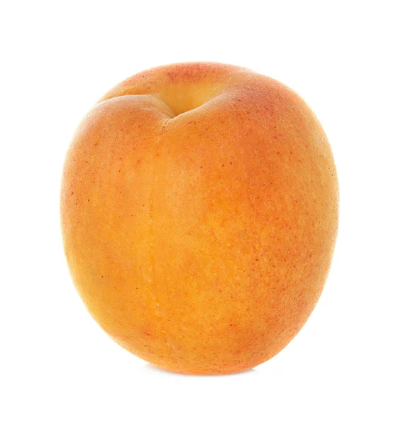 Mogen aprikos frukt isolerad på vit bakgrund — Stockfoto