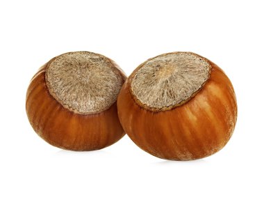 Fındıklar beyaz arka planda izole