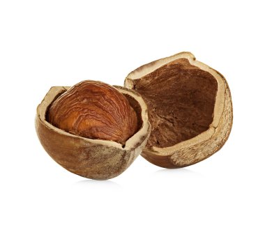 Fındık beyaz arka planda izole