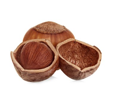 Fındık beyaz arka planda izole