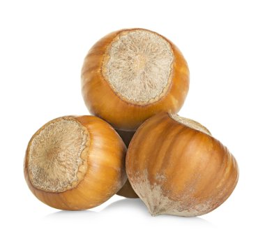 Fındık beyaz arka planda izole