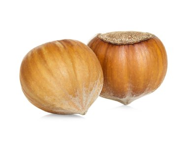 Fındık beyaz arka planda izole