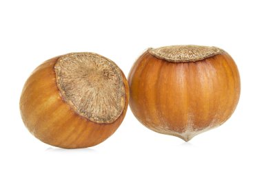 Fındık beyaz arka planda izole